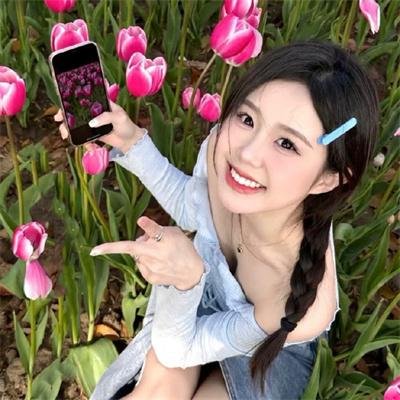 迷雾丛林