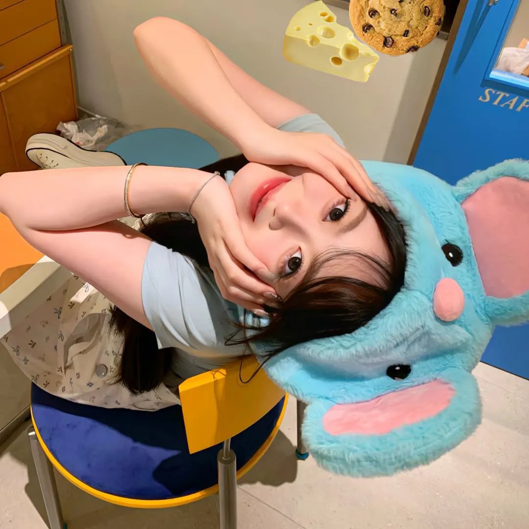 鲅鱼恋上猫